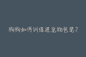 狗狗如何训练进宠物包笼？