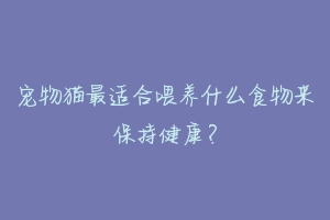 宠物猫最适合喂养什么食物来保持健康？