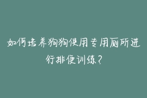 如何培养狗狗使用专用厕所进行排便训练？