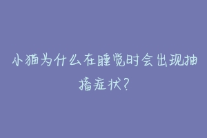 小猫为什么在睡觉时会出现抽搐症状？