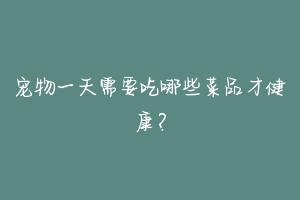 宠物一天需要吃哪些菜品才健康？