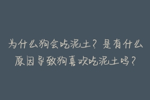 为什么狗会吃泥土？是有什么原因导致狗喜欢吃泥土吗？