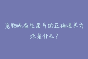 宠物吃益生菌片的正确喂养方法是什么？