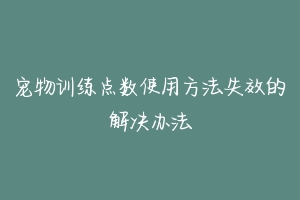 宠物训练点数使用方法失效的解决办法