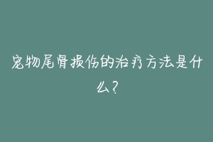 宠物尾骨损伤的治疗方法是什么？