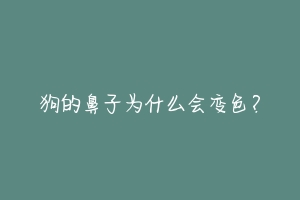 狗的鼻子为什么会变色？