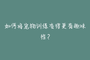 如何将宠物训练变得更有趣味性？