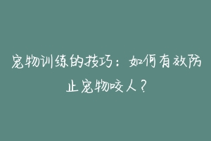 宠物训练的技巧：如何有效防止宠物咬人？