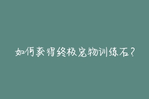 如何获得终极宠物训练石？