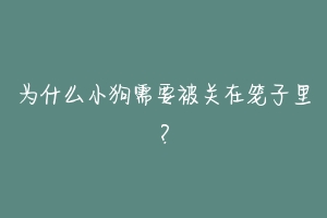 为什么小狗需要被关在笼子里？