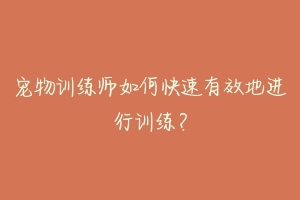 宠物训练师如何快速有效地进行训练？