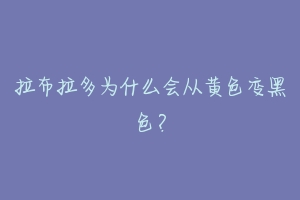 拉布拉多为什么会从黄色变黑色？