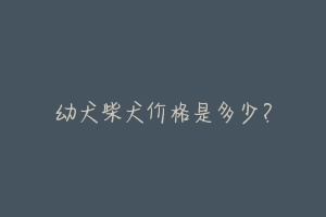 幼犬柴犬价格是多少？