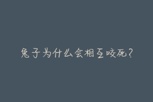 兔子为什么会相互咬死？