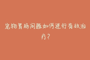 宠物胃肠问题如何进行有效治疗？