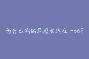 为什么狗的屁股会连在一起？