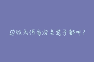 边牧为何每次关笼子都叫？