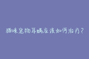 猫咪宠物耳螨应该如何治疗？