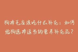 狗掉毛应该吃什么补充：如何给狗选择适当的营养补充品？