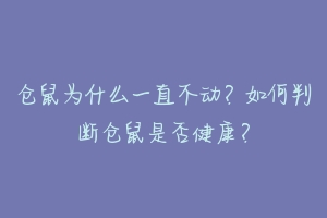 仓鼠为什么一直不动？如何判断仓鼠是否健康？