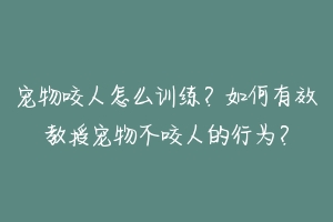 宠物咬人怎么训练？如何有效教授宠物不咬人的行为？