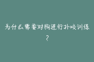 为什么需要对狗进行扑咬训练？