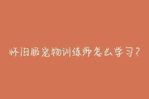 怀旧服宠物训练师怎么学习？