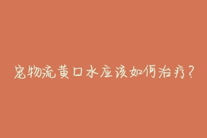 宠物流黄口水应该如何治疗？