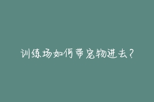 训练场如何带宠物进去？