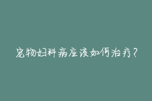 宠物妇科病应该如何治疗？