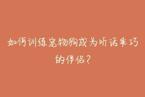 如何训练宠物狗成为听话乖巧的伴侣？