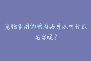 宠物食用的鸭肉汤可以叫什么名字呢？