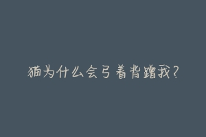 猫为什么会弓着背蹭我？