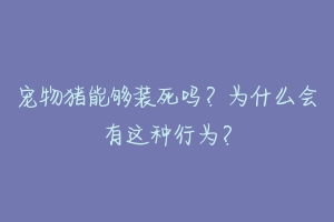 宠物猪能够装死吗？为什么会有这种行为？