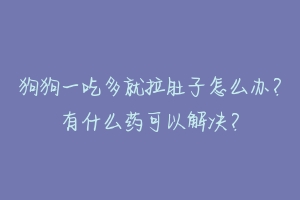 狗狗一吃多就拉肚子怎么办？有什么药可以解决？