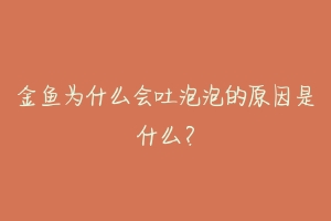 金鱼为什么会吐泡泡的原因是什么？