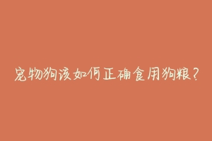 宠物狗该如何正确食用狗粮？