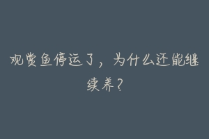 观赏鱼停运了，为什么还能继续养？