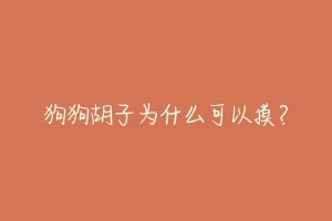 狗狗胡子为什么可以摸？