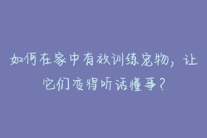 如何在家中有效训练宠物，让它们变得听话懂事？