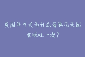 英国斗牛犬为什么每隔几天就会呕吐一次？