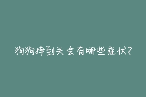 狗狗摔到头会有哪些症状？