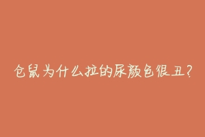 仓鼠为什么拉的尿颜色很丑？