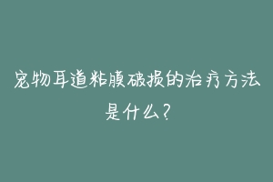 宠物耳道粘膜破损的治疗方法是什么？