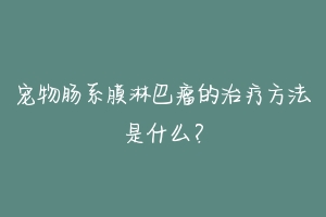 宠物肠系膜淋巴瘤的治疗方法是什么？