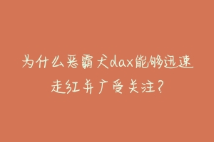 为什么恶霸犬dax能够迅速走红并广受关注？