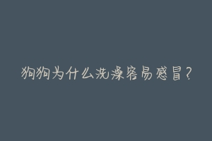 狗狗为什么洗澡容易感冒？