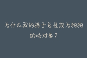 为什么我的裤子总是成为狗狗的咬对象？