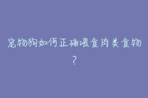 宠物狗如何正确喂食肉类食物？