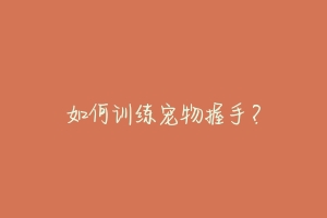 如何训练宠物握手？